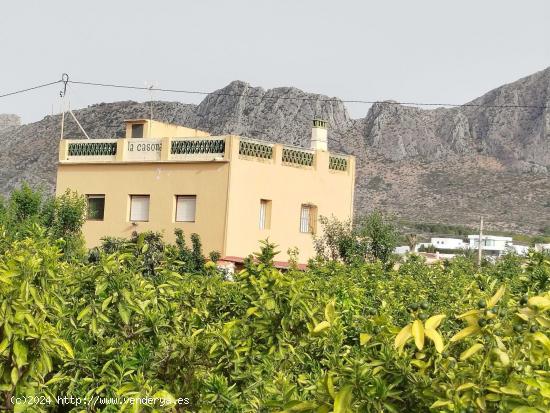 Gran finca rústica en Beniarbeig - ALICANTE