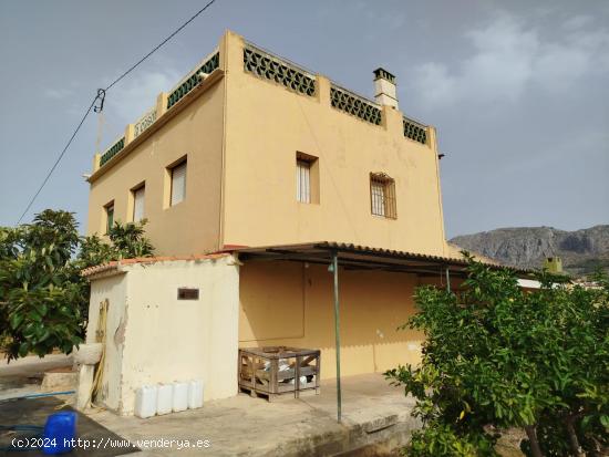 Gran finca rústica en Beniarbeig - ALICANTE