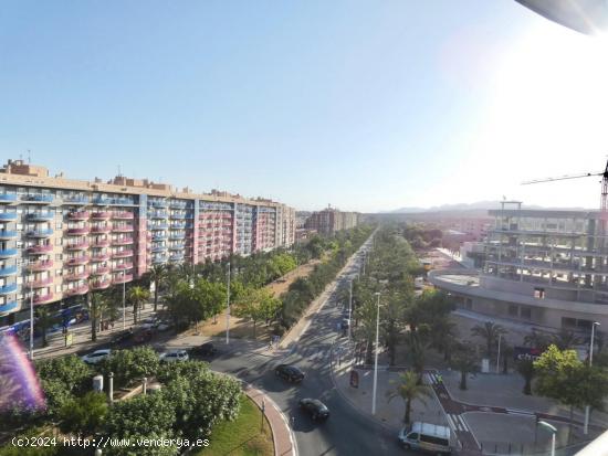 PISO en la Avenida de la Universidad d'Elx - ALICANTE