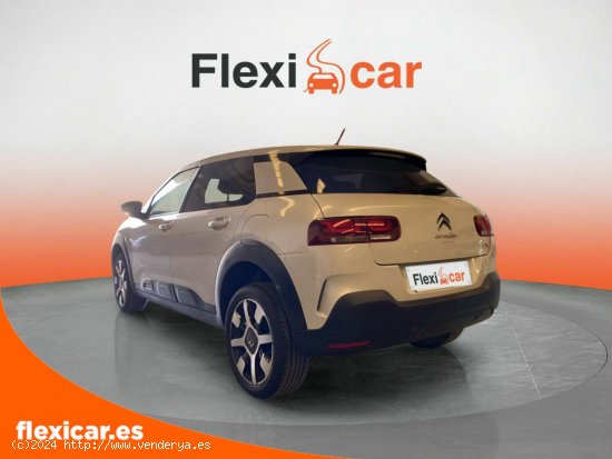 Citroën C4 Cactus BlueHDi 73KW (100CV) Live - Huércal de Almería