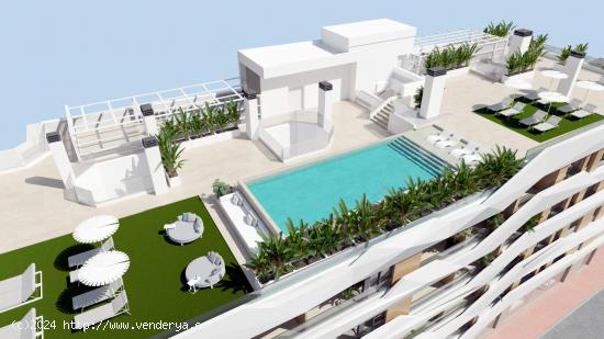 RESIDENCIAL DE OBRA NUEVA EN GUARDAMAR DEL SEGURA - ALICANTE