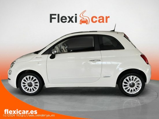 Fiat 500 Cult 1.0 Hybrid 51KW (70 CV) - Alicante