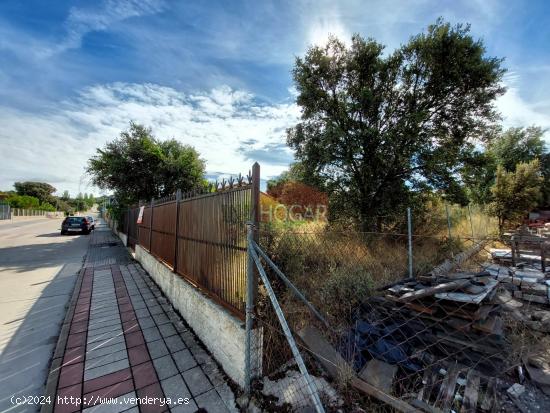  PARCELA EN EL TÉRMINO DE MAELLO, URBANIZACIÓN DE LA FONTANILLA  05291 - AVILA 