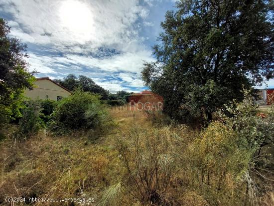 PARCELA EN EL TÉRMINO DE MAELLO, URBANIZACIÓN DE LA FONTANILLA  05291 - AVILA