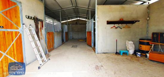  FINCA RÚSTICA DE 5.300M², BOXES PARA 4 CABALLOS Y CÓDIGO DE EXPLOTACIÓN PARA 15. - CADIZ 