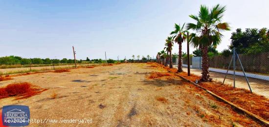 FINCA RÚSTICA DE 5.300M², BOXES PARA 4 CABALLOS Y CÓDIGO DE EXPLOTACIÓN PARA 15. - CADIZ