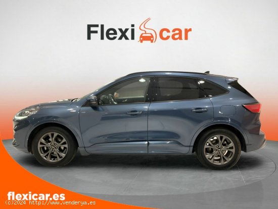 Ford Kuga ST-Line 1.5 EcoBlue 88kW (120CV) - Sevilla