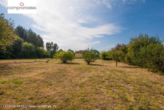  FINCA URBANA EN O CORGO-BREXO - A CORUÑA 