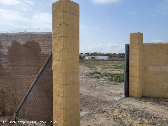 Parcela en el Marquesado segregada - CADIZ