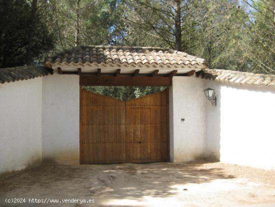 OPORTUNIDAD PARCELA EN LA LOS PINARES DEL JUCAR - ALBACETE