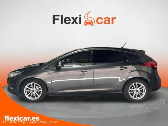 Ford Focus 1.0 Ecoboost 92kW Trend+ - 5 P (2019) - Sant Boi de Llobregat