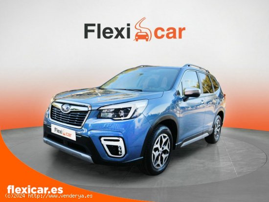 Subaru Forester 2.0i Hybrid CVT Executive Plus - 5 P (2020) - Málaga