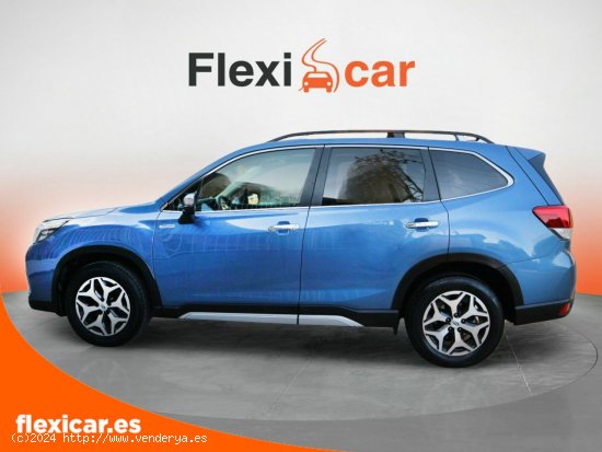 Subaru Forester 2.0i Hybrid CVT Executive Plus - 5 P (2020) - Málaga