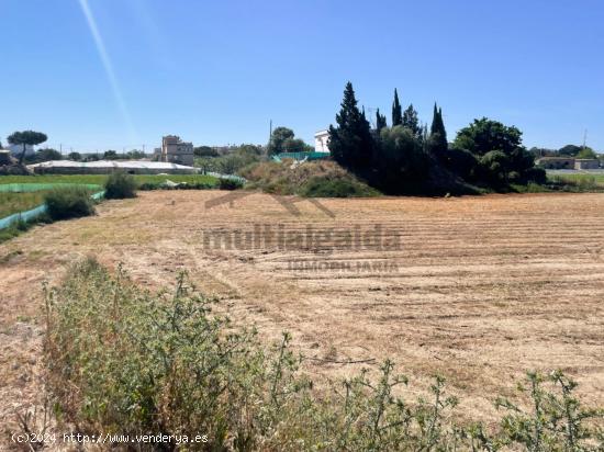  TERRENO RÚSTICO EN BONANZA - CADIZ 