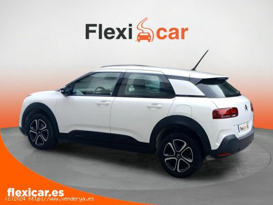 Citroën C4 Cactus BlueHDi 100 S&S Feel - Galdakao