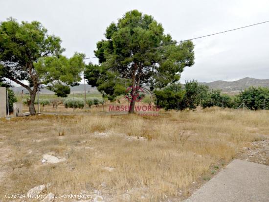 Casa de campo con terreno en Fuente Álamo - MURCIA