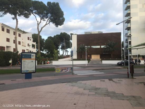 Local comercial en Magaluf - BALEARES