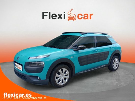 Citroën C4 Cactus BlueHDi 100 Feel - Galdakao