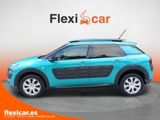 Citroën C4 Cactus BlueHDi 100 Feel - Galdakao