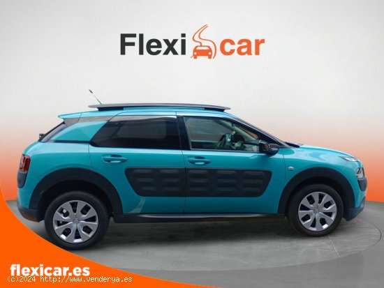 Citroën C4 Cactus BlueHDi 100 Feel - Galdakao