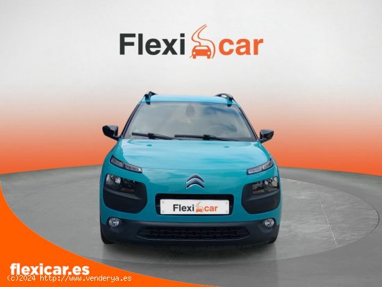 Citroën C4 Cactus BlueHDi 100 Feel - Galdakao