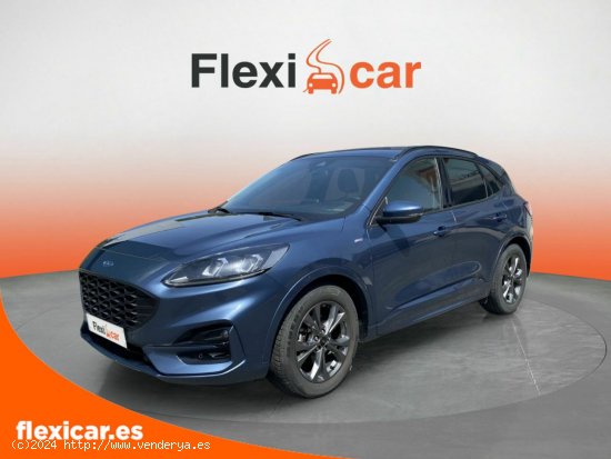 Ford Kuga ST-Line 1.5 EcoBlue 88kW (120CV) - Galdakao