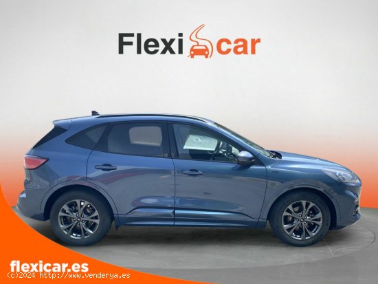 Ford Kuga ST-Line 1.5 EcoBlue 88kW (120CV) - Galdakao