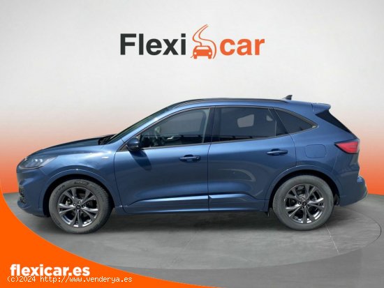 Ford Kuga ST-Line 1.5 EcoBlue 88kW (120CV) - Galdakao