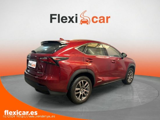 Lexus NX 2.5 300h Corporate 2WD - Marbella