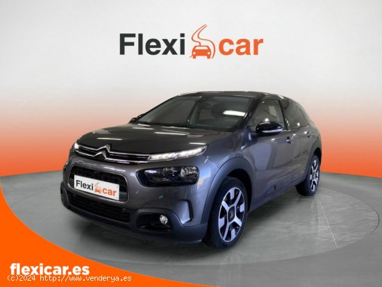 Citroën C4 Cactus PureTech 130 S&S EAT6 Shine Pack - Málaga