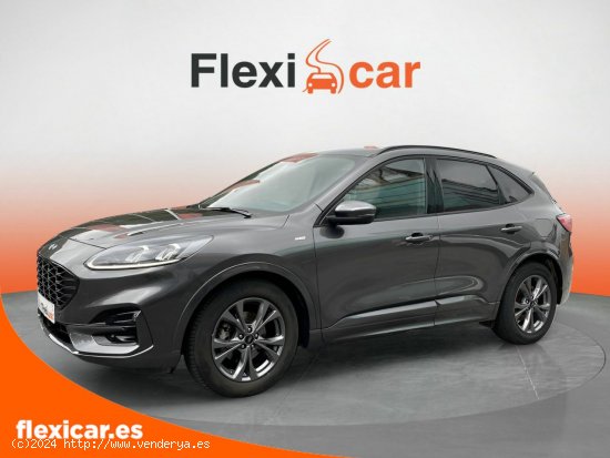 Ford Kuga ST-Line 1.5 EcoBlue 88kW (120CV) - Biscay