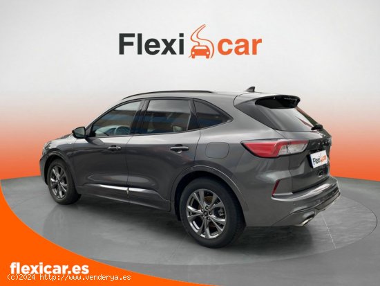 Ford Kuga ST-Line 1.5 EcoBlue 88kW (120CV) - Biscay