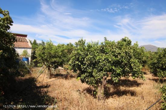 TERRENO RUSTICO CON ALMACÉN DE 48M - MALAGA