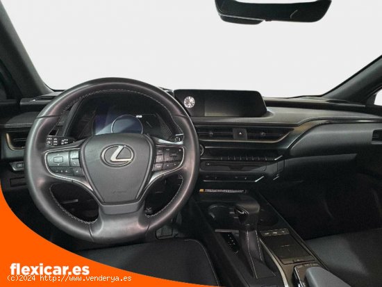 Lexus UX 2.0 250h Business Navigation - Marbella