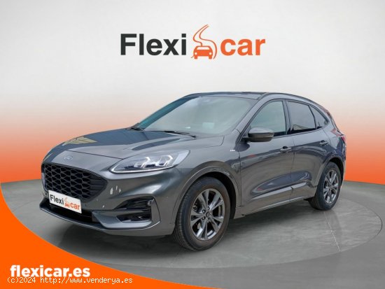 Ford Kuga ST-Line 1.5 EcoBlue 88kW (120CV) - Vizcaya