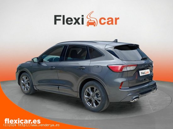 Ford Kuga ST-Line 1.5 EcoBlue 88kW (120CV) - Vizcaya