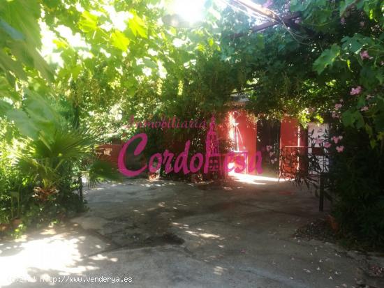 Se Vende en Córdoba - CORDOBA