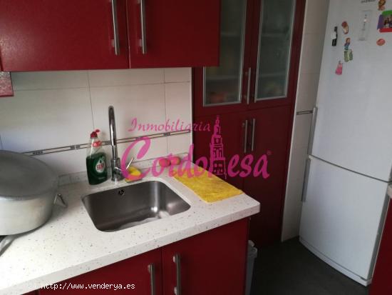 CONJUNTO DE 2 CASAS Y 4 APARTAMENTOS EN ZONA RIBERA!!!. - CORDOBA