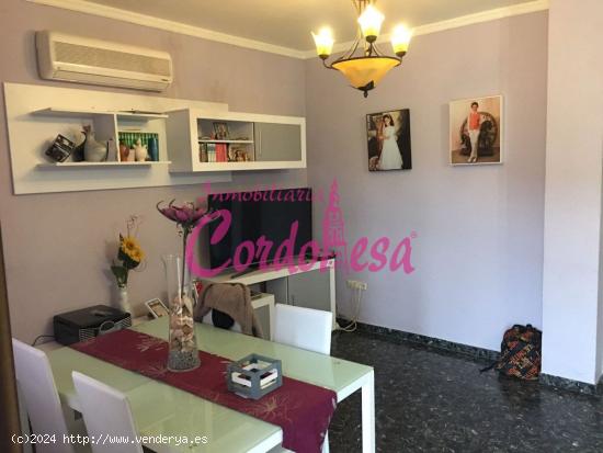 MAGNIFICA CASA EN ALCOLEA. - CORDOBA