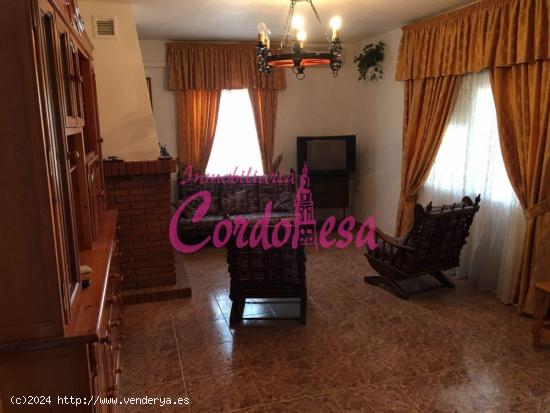 MAGNIFICA CASA CON TERRENO EN ALCOLEA. - CORDOBA