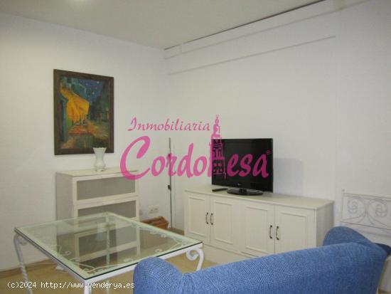 MAGNÍFICO APARTAMENTO JUNTO AL CORTE INGLÉS - CORDOBA