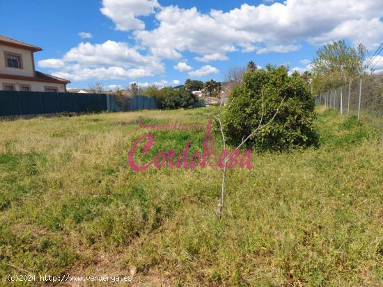 MAGNIFICO TERRENO EN ALCOLEA. URB. LOS AMIGOS - CORDOBA