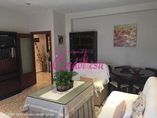 MAGNIFICA VIVIENDA CON SOLARIUM EN ALCOLEA!!! - CORDOBA