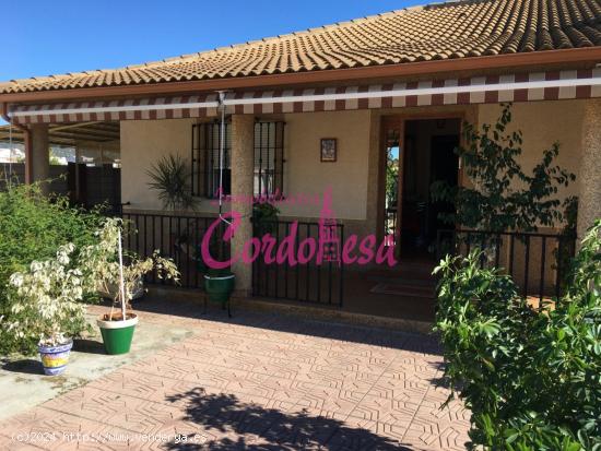 MAGNIFICO CASA CON TERRRENO EN ALCOLEA!! - CORDOBA