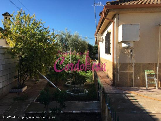 MAGNIFICO CASA CON TERRRENO EN ALCOLEA!! - CORDOBA