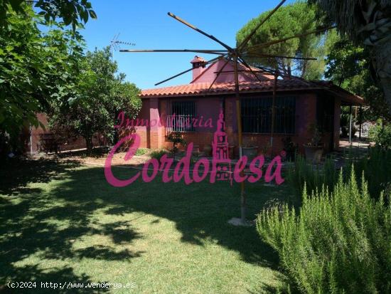  Se Vende en Córdoba - CORDOBA 