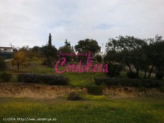 MAGNÍFICO TERRENO URBANO EN ALCOLEA - CORDOBA