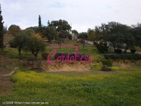 MAGNÍFICO TERRENO URBANO EN ALCOLEA - CORDOBA