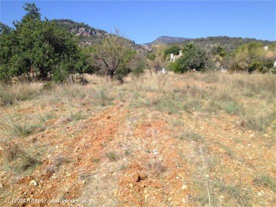 Terrenos Rústicos en Alaró y Lloseta - BALEARES