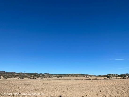 Mas de 20.000 metros de finca junto a Corvera y Baños y Mendigo - MURCIA